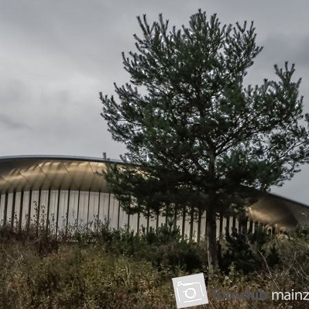 2025 Hombroich &amp; Düsseldorf - Andrea Göpfert: 5338_3-3